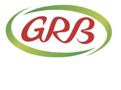 whatsapp image 2025 12 29 at 8.05.14 pm (4)